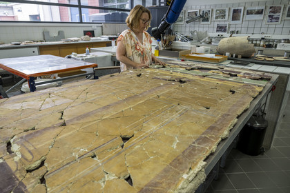 issu des fouilles des ruines de la maison de la harpiste (entre 70 et 50 av. J.-C.) dans le site de l'ancienne verrerie de Trinquetaille sur la rive droite du Rhone, restauration de fragments de la peinture murale à fresque présentée par la responsable du service Aurélie Martin