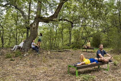 France, Var (83), Provence Verte, Bras, Académie du Bain de Forêt Provençale, forêt du domaine Le Peyrourier - une campagne en Provence, Constanze Coisne guide le Shinrin Yoku