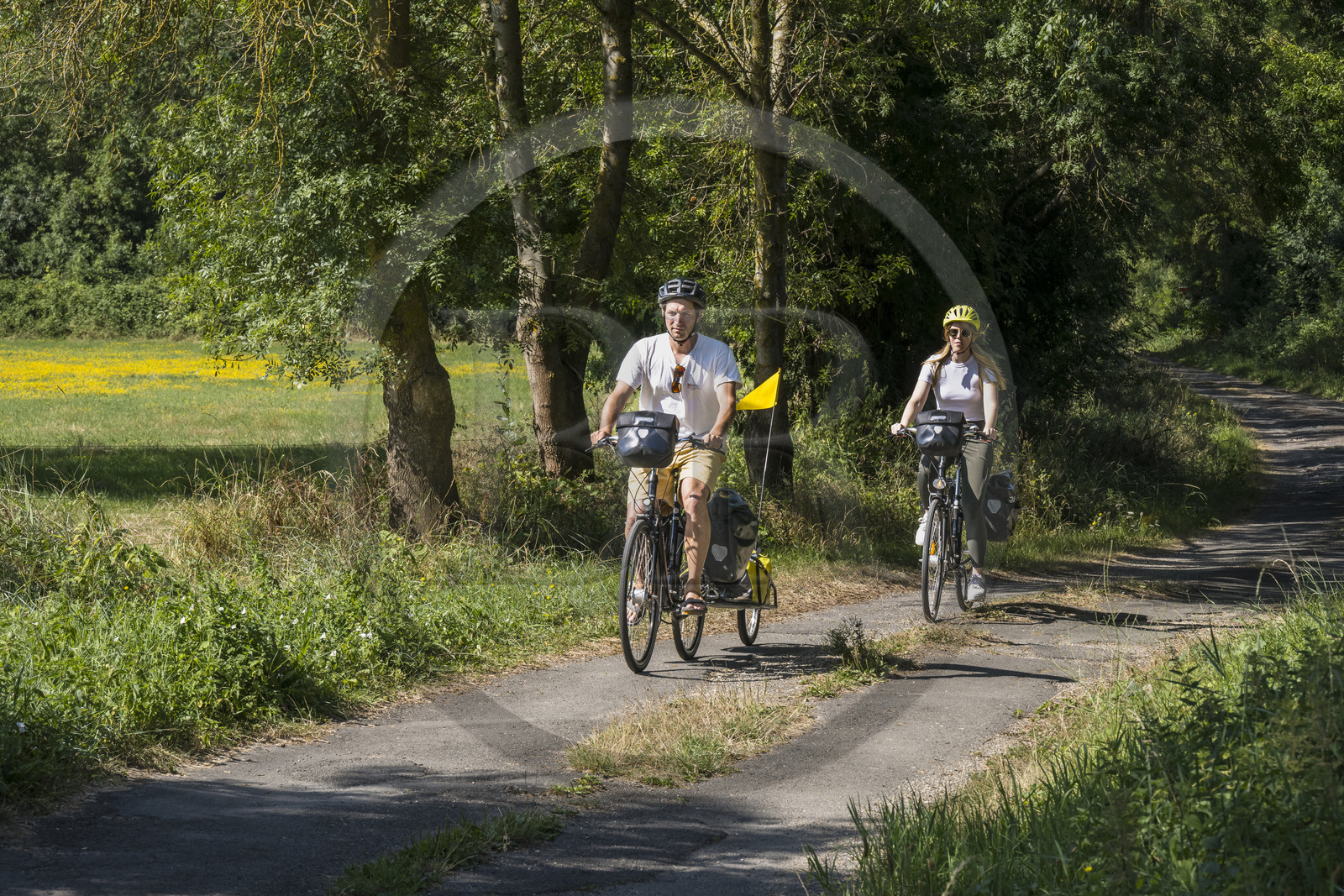 France, Maine-et-Loire (49), vallée de la Loire classée au Patrimoine Mondial par l'UNESCO, Saumur vers Saint-Hilaire, randonnée à bicyclette le long des berges de la Loire sur la piste cyclable La Loire à Vélo, vélo avec une remorque transportant le matériel de camping