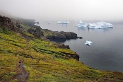 Groenland, cote ouest, Ile de Disko, Qeqertarsuaq, randonneurs sur la côte et icebergs dans la brume en arrière plan