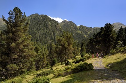France, Hautes Pyrenees, Saint Lary Soulan, Rioumajou valley