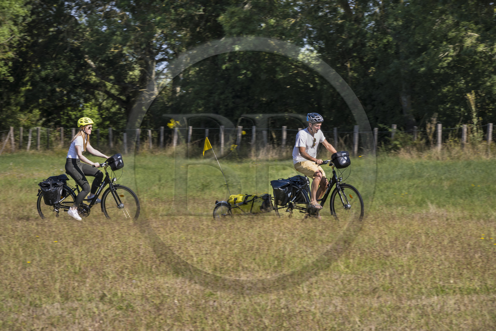 France, Maine-et-Loire (49), vallée de la Loire classée au Patrimoine Mondial par l'UNESCO, Saumur vers Saint-Hilaire, randonnée à bicyclette sur les berges de la Loire, vélo avec une remorque transportant le matériel de camping
