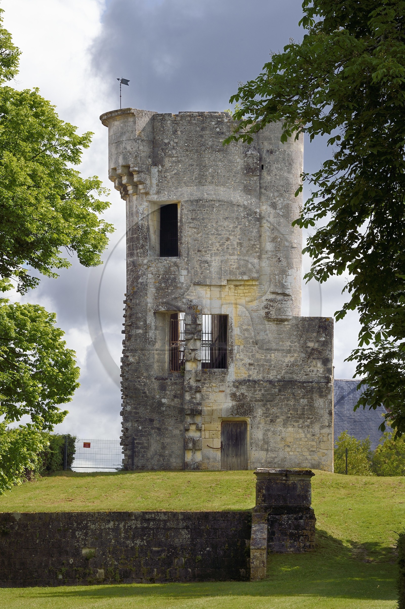France, Charente-Maritime, Saintonge, Taillebourg, the castle tower