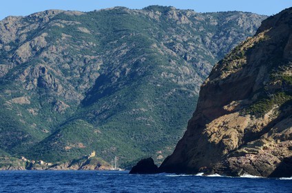 France, Corse-du-Sud (2A), Golfe de Girolata, classé Patrimoine Mondial de l'UNESCO, et le Capo Senino au premier plan