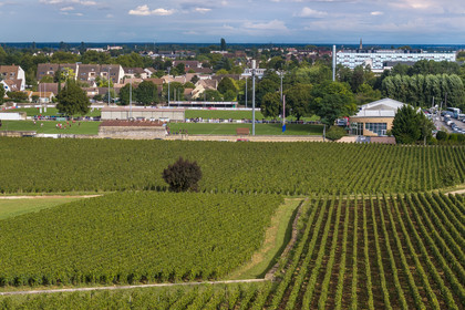 France, Côte-d'Or (21), les climats de Bourgogne classés Patrimoine Mondial de l'UNESCO, Côte de Beaune, Beaune, les parcelles de vigne bordent l'ouest de la ville, le centre hospitalier Philippe-Le-Bon des hospices civils en arrière plan à droite (vue aérienne)