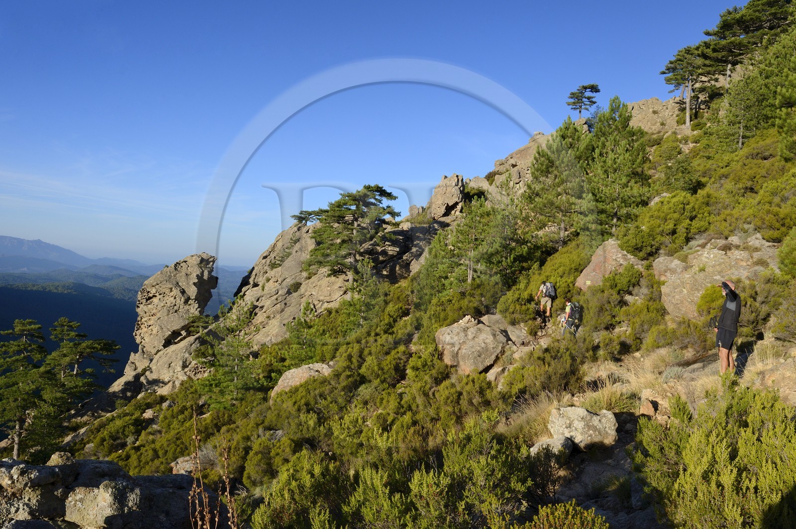 France, Corse-du-Sud (2A), Alta Rocca, Aiguilles de Bavella, randonneurs sur la variante alpine de l'étape du GR 20