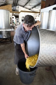 France, Reunion island (French overseas department), La Saline, La Part des Anges Distillation, pineapple collected in tanks after three months of fermentation and before distillation