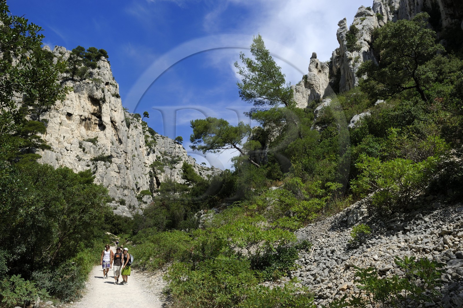 France, Bouches du Rhone, Cassis, the path leading to the En Vau creek (calanque)