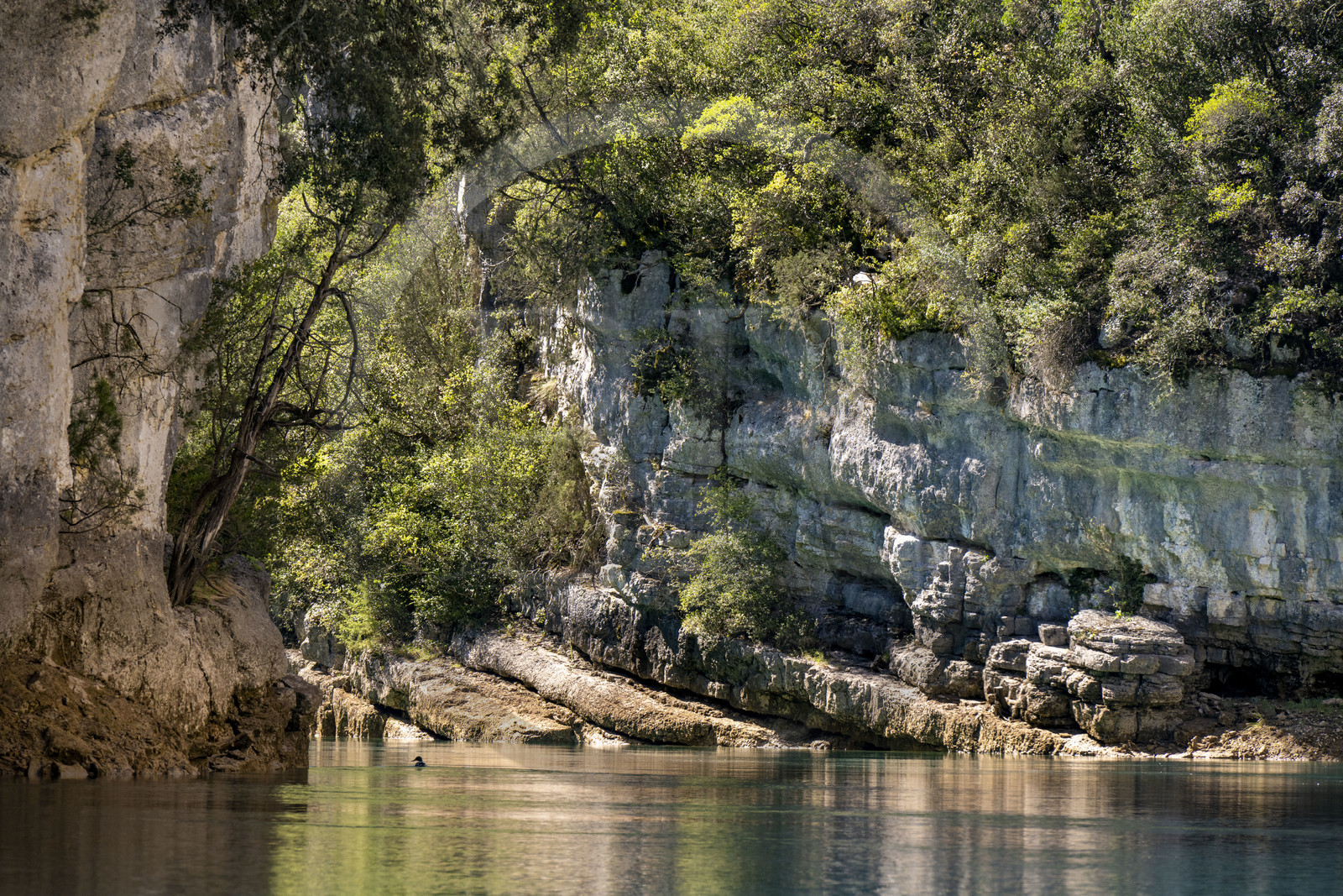 Var (83) rive gauche et Alpes-de-Haute-Provence (04) rive droite, Parc Naturel Régional du Verdon, Basses Gorges du Verdon en aval du lac de Sainte Croix, gorges de Baudinard