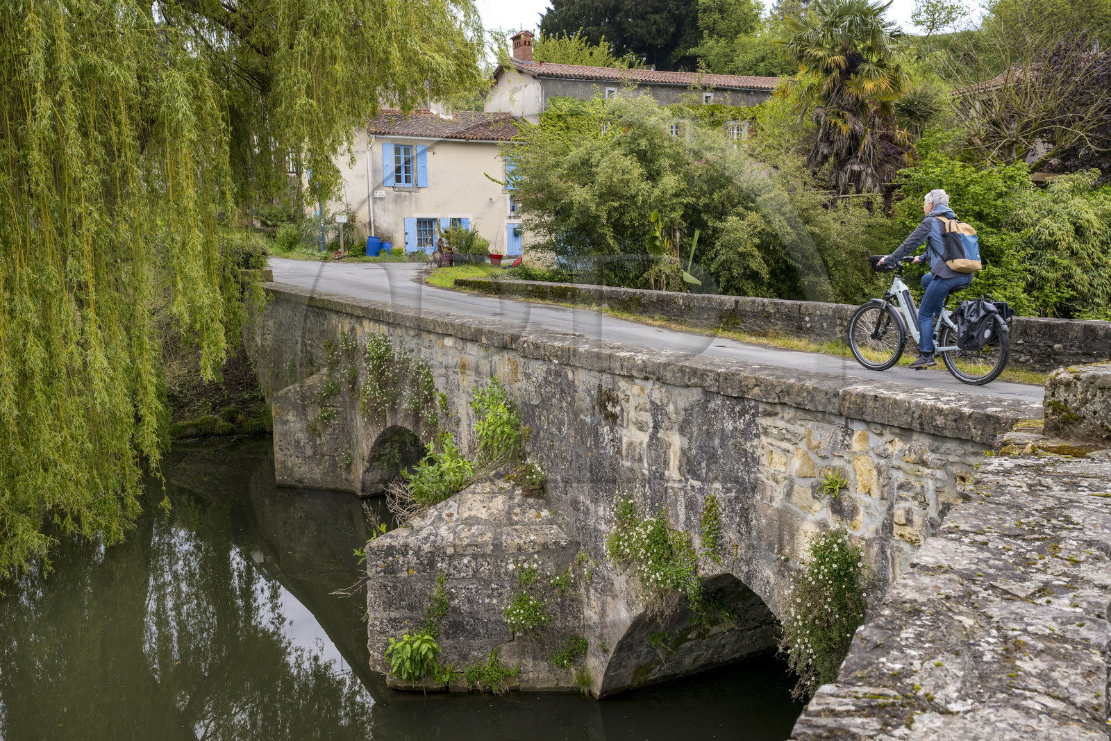 France, Vendée (85), Vouvant, labellisé Les Plus Beaux Villages de France, cycliste traversant le petit pont médiéval sur la rivière La Mère qui entoure le village