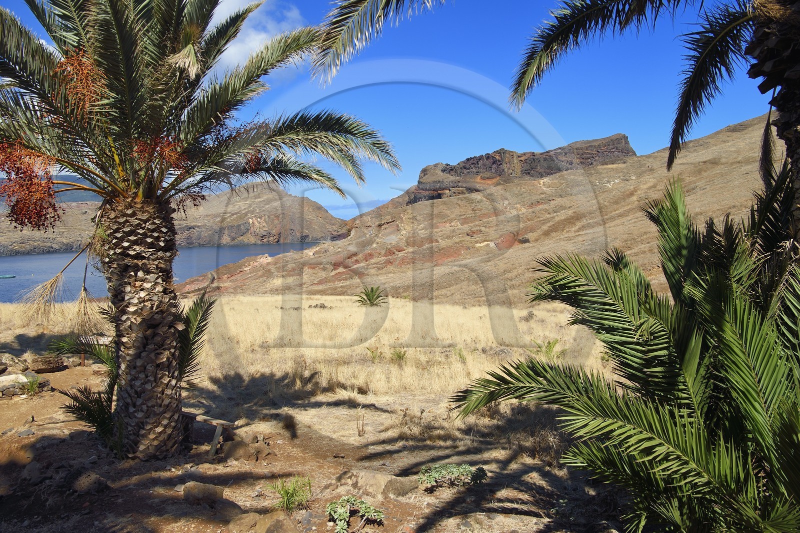 Portugal, Ile de Madère, randonnée dans la réserve naturelle de la Ponta de Sao Lourenço à l'extrême Est de l'ile, à la Casa do Sardinha