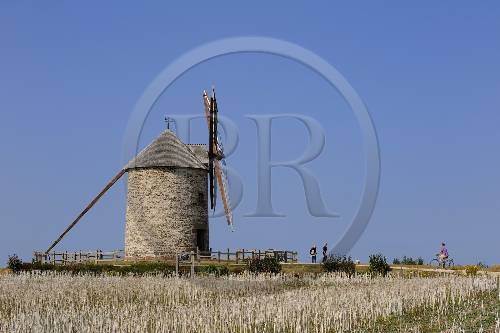 France, Manche (50), Baie du Mont-Saint-Michel, route des moulins, moulin à vent de Moidrey