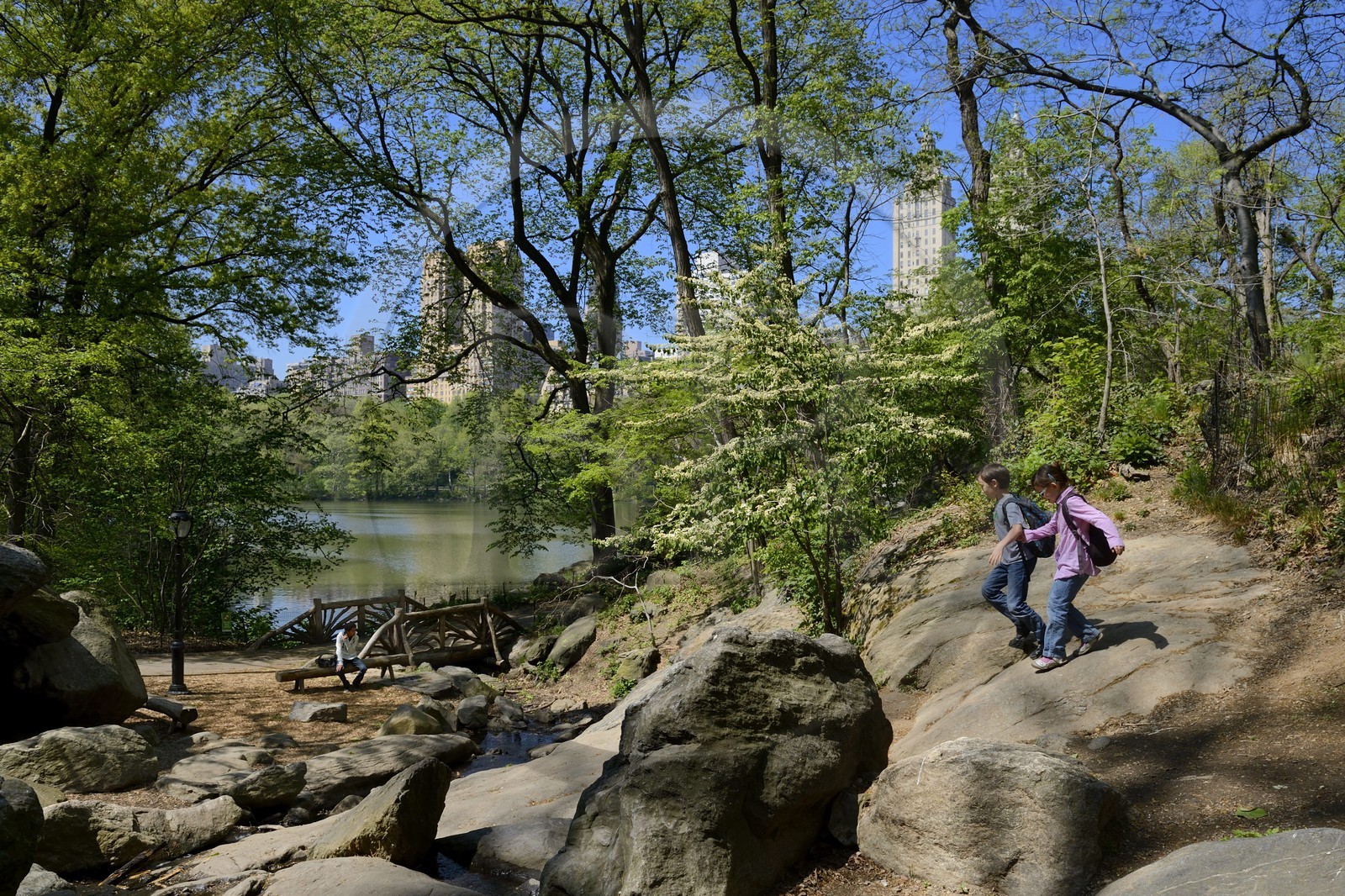 Etats-Unis, New York, Manhattan, Central Park, le Lac et les immeubles de l'Upper West Side en arrière plan