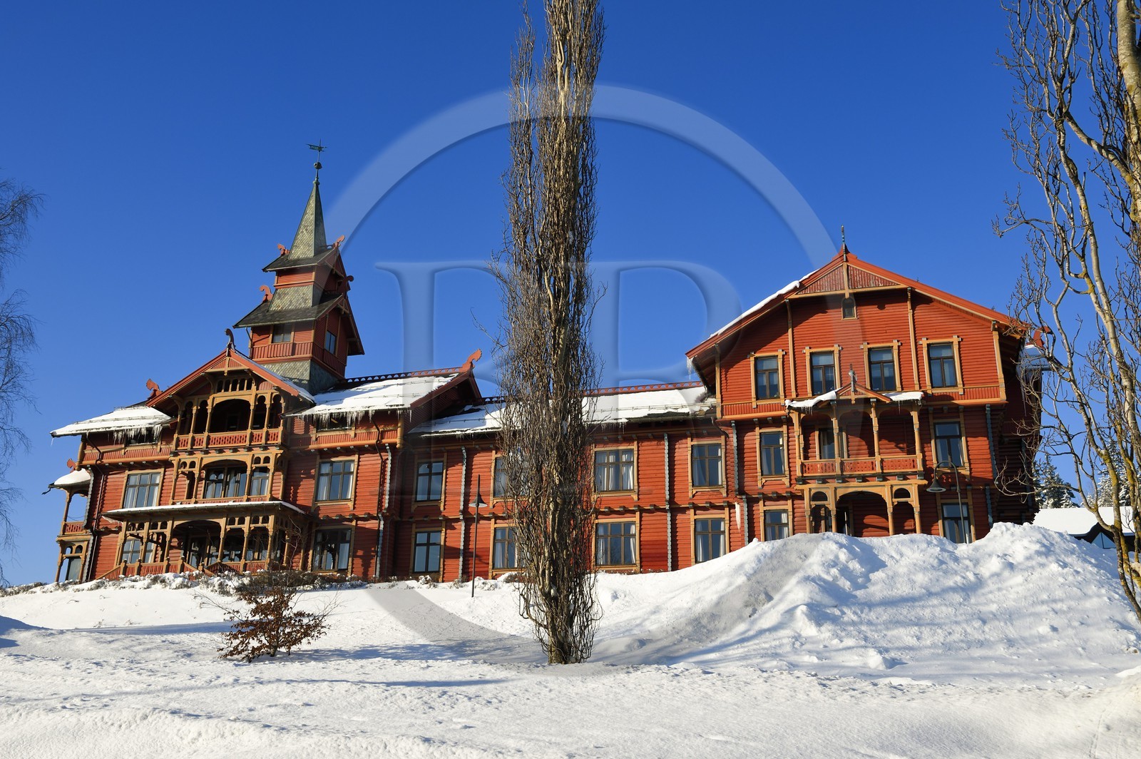Norvège, Oslo, quartier de Holmenkollen, Hotel Scandic Holmenkollen Park