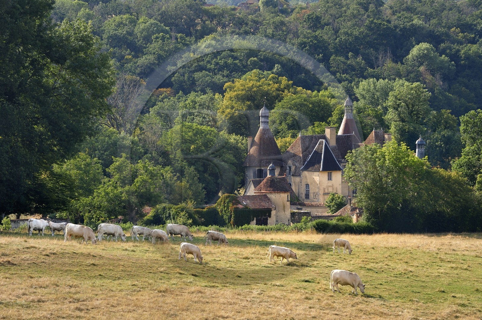 France, Allier (03), former province of Bourbonnais, Besson, le Vieux Bostz castle belonging to the descendants of the Bourbon-Parma