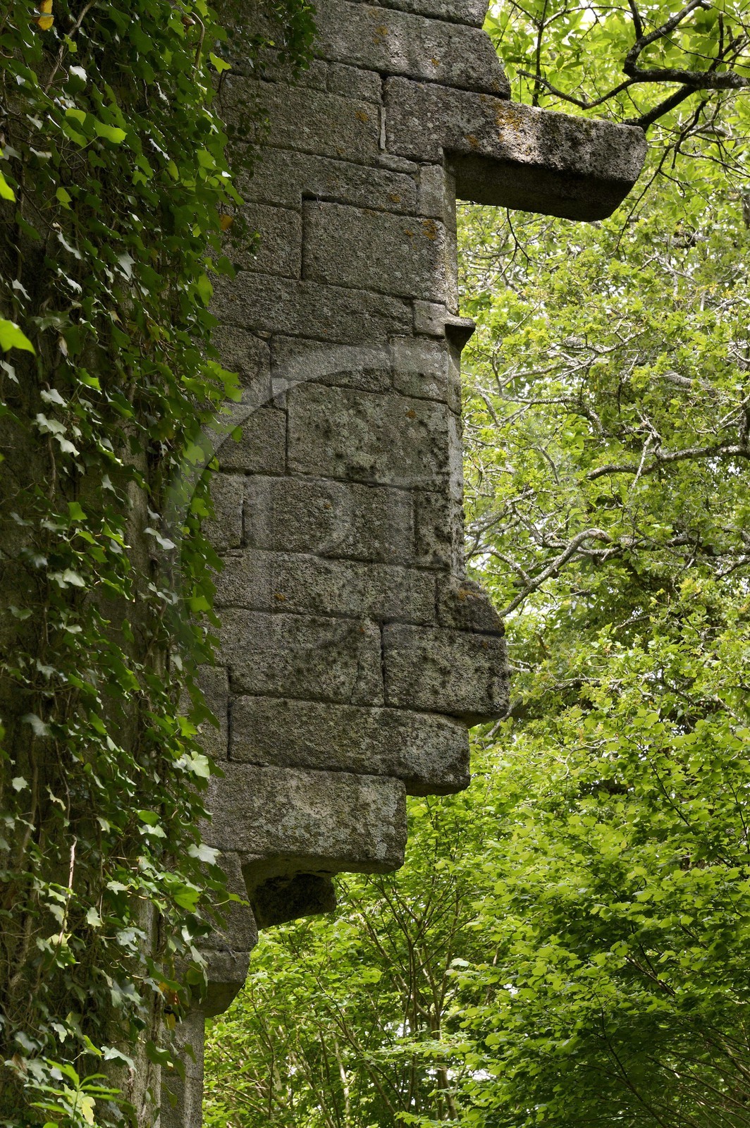 France, Finistère (29), Pont-Aven, Nizon, chateau de Rustephan, ancien manoir du XVe et du XVIe siècle en ruine