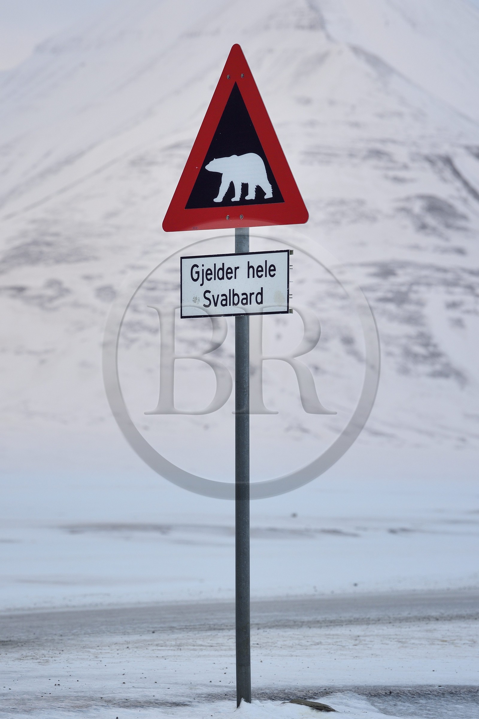 Norvège, Svalbard, Spitzberg, vallée de Adventdalen, panneau de signalisation de danger potentiel de présence d'ours blanc à la sortie de Longyearbyen, Gjelder hele Svalbard s'applique à tout le Svalbard
