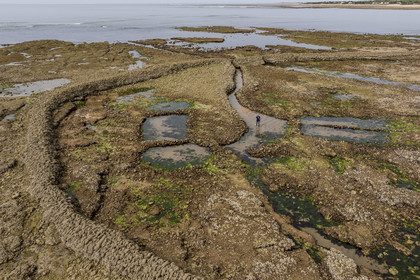 France, Charente-Maritime (17), Ile d'Oléron, Saint-Georges-d'Oléron, plage des Sables Vignier à marée basse, l'écluse à poissons des Basses (vue aérienne)