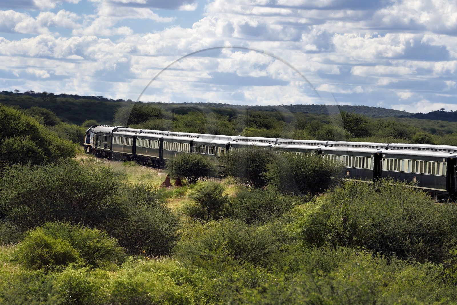 Namibia, Otjozondjupa region, the Shongololo express train crossing the Namibian bush