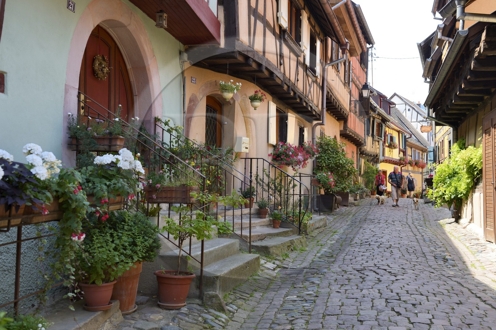 France, Haut-Rhin (68), Eguisheim, labellisé Les Plus Beaux Villages de France, maisons traditionnelles à pans de bois dans la rue du Rempart Sud