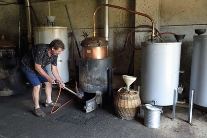 France, Meuse, Lorraine Regional Park, Cotes de Meuse, Combres sous les cotes, Domaine de Muzy, distillation of mirabelle plum brandy at Véronique and Jean-Marc Liénard