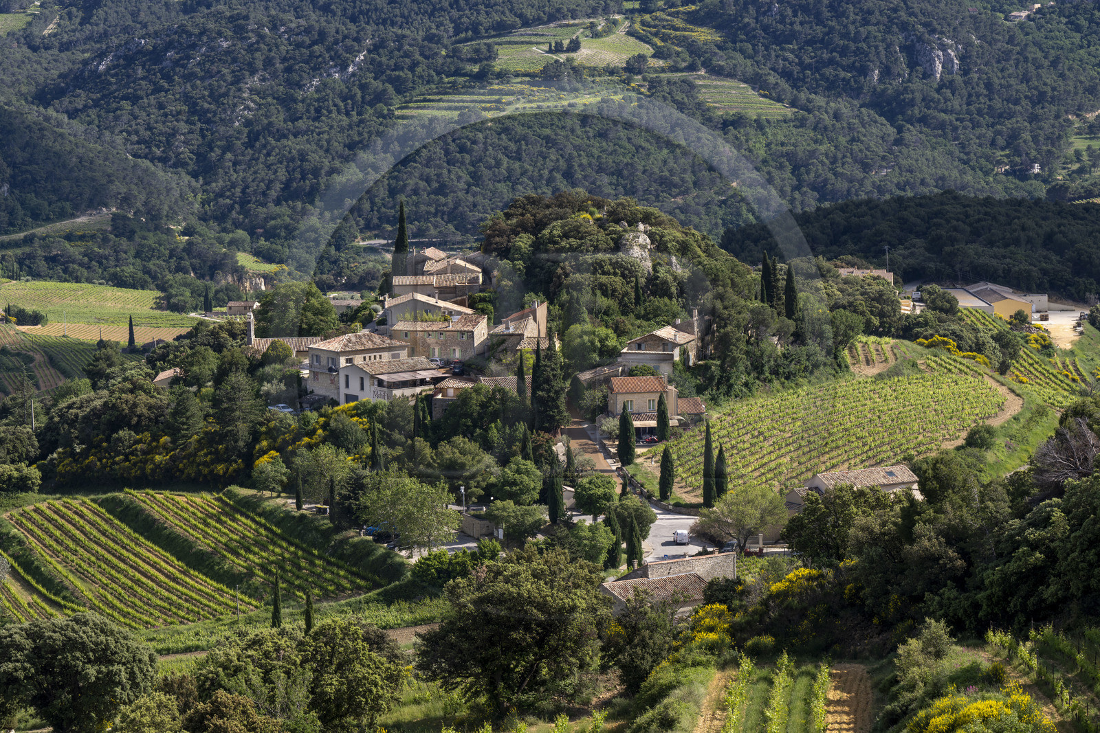 France, Vaucluse (84), Dentelles de Montmirail, le village de Suzette entouré par le vignoble