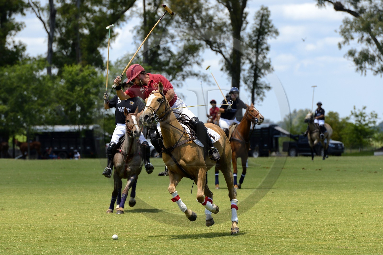 Argentine, province de Buenos Aires, San Antonio de Areco, estancia La Bamba de Areco, match de polo