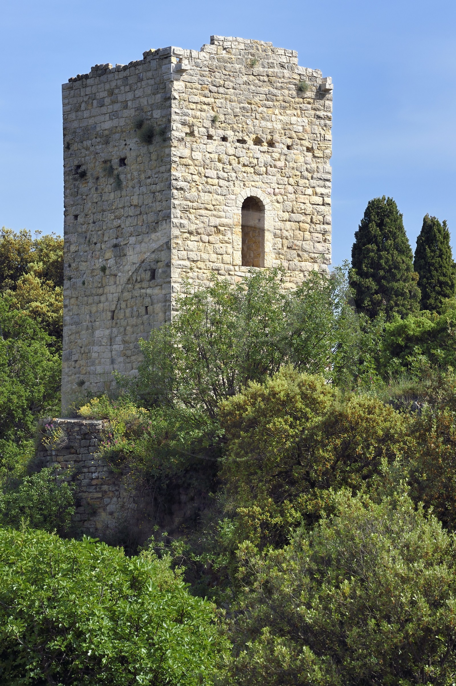 France, Var (83), La Dracénie, village de Châteaudouble, tour dite sarrasine à bossage du XIème siècle