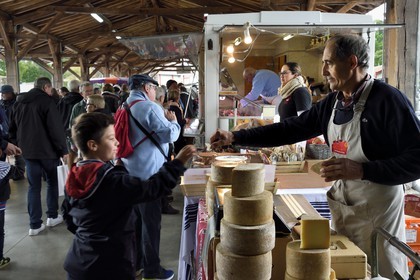 France, Pyrenees Atlantiques, Basque Country, Saint Jean Pied de Port, the covered market, Basque brebis cheese stall Tambourin AOC Ossau-Iraty