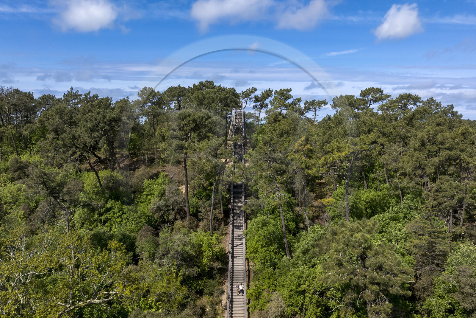 France, Vendée (85), La Barre-de-Monts, belvédère du Pey de la Blet, l'escalier dans le ciel au coeur de la forêt (vue aérienne)