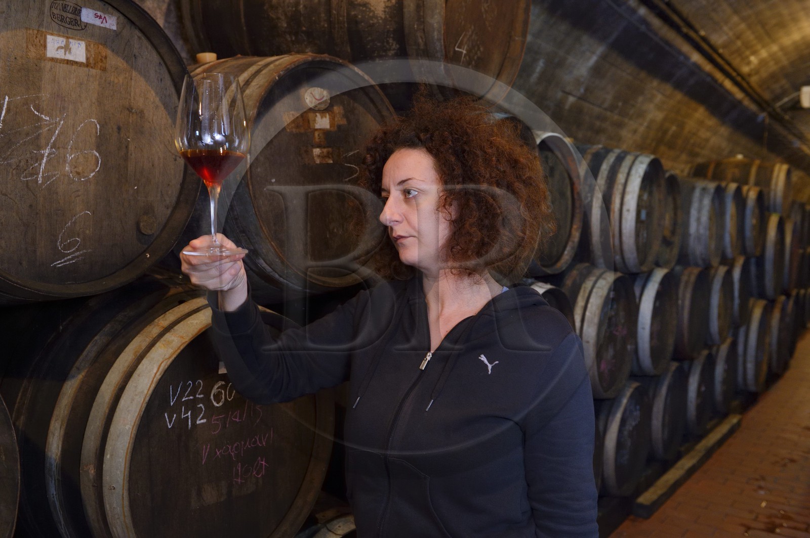 Grèce, Les Cyclades, mer Égée, île de Santorin (Thira ou Théra), plaine de Oia, Domaine Sigalas