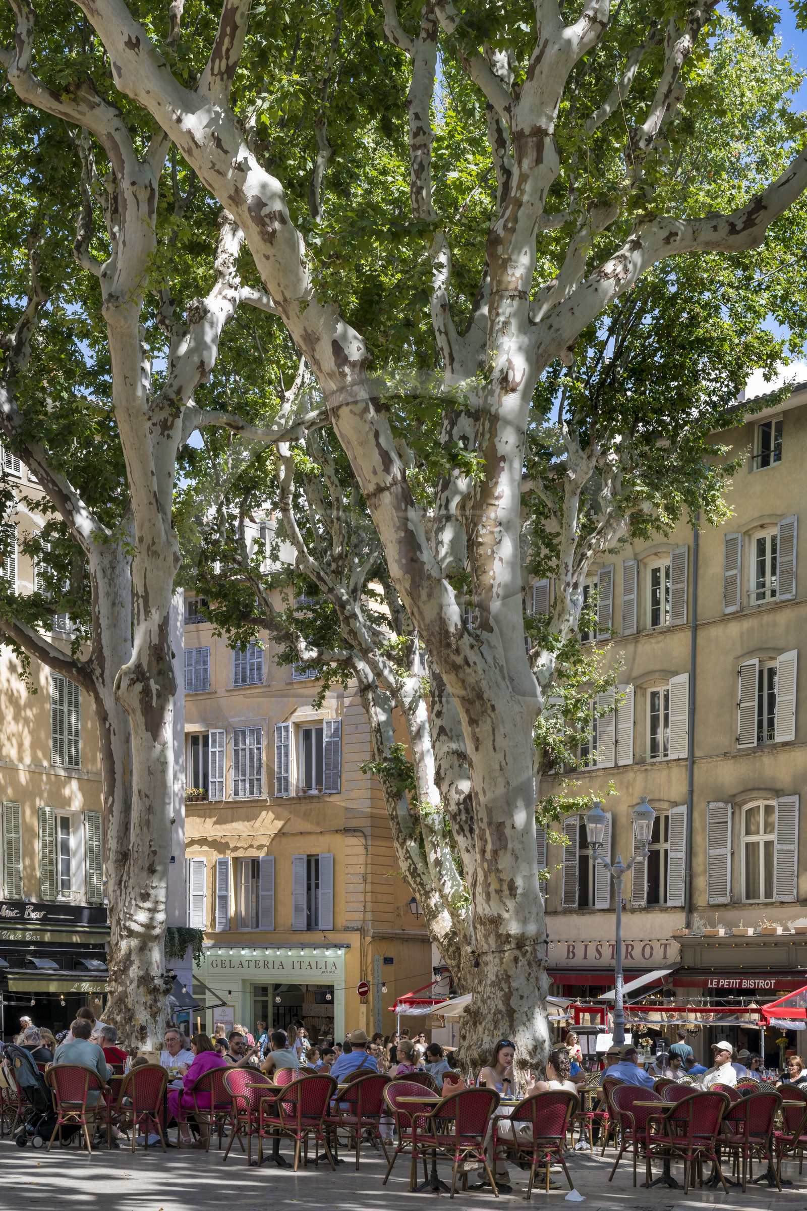 France, Bouches-du-Rhône (13), Aix en Provence, terrasse de café place Richelme
