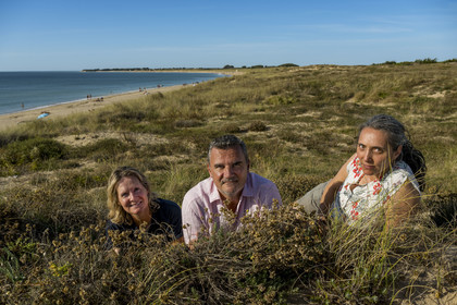 France, Charente-Maritime (17), Ile d'Oléron, Saint-Georges-d'Oléron, plage de Chaucre, l’ingénieur agronome Ethel Gauthier à droite avec Anne-Cécile et Christophe Amigorena les créateurs du Gin Melifera, immortelles des dunes (helichrysum stoechas) au premier plan