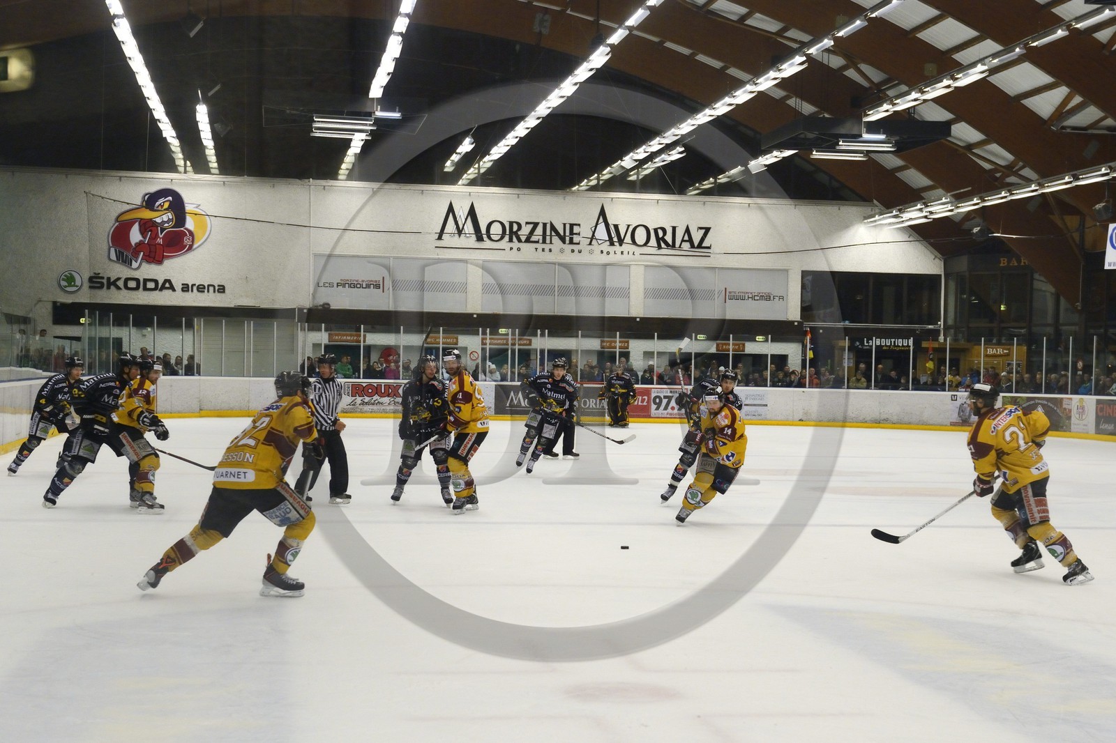 France, Haute-Savoie (74), Morzine, match de hockey sur glace du Hockey Club Morzine-Avoriaz appelé les Pingouins