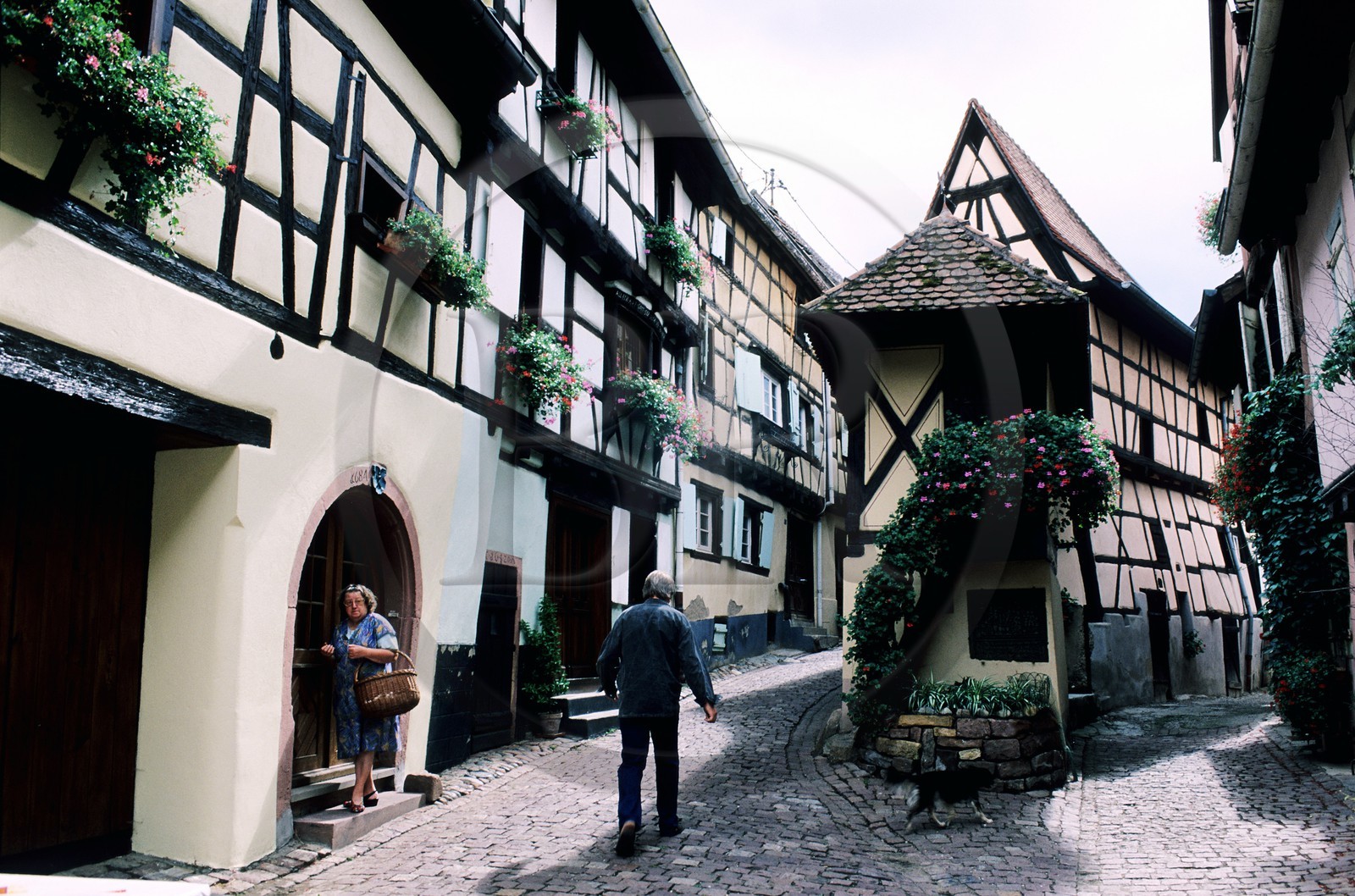 France, Haut Rhin, Eguisheim village, labelled Les Plus Beaux Villages de France (The Most Beautiful Villages of France)