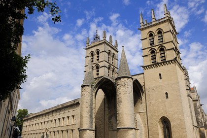 France, Hérault (34), Montpellier, centre historique, la cathédrale Saint Pierre