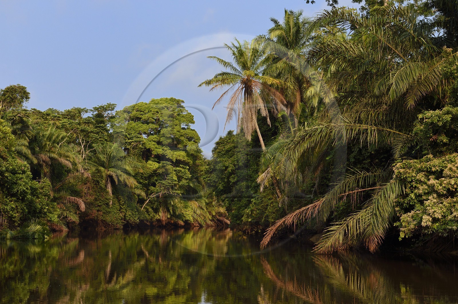 Gabon, Ogooue-Maritime Province, one of the many rivers in the Fernan Vaz (Nkomi) lagoon