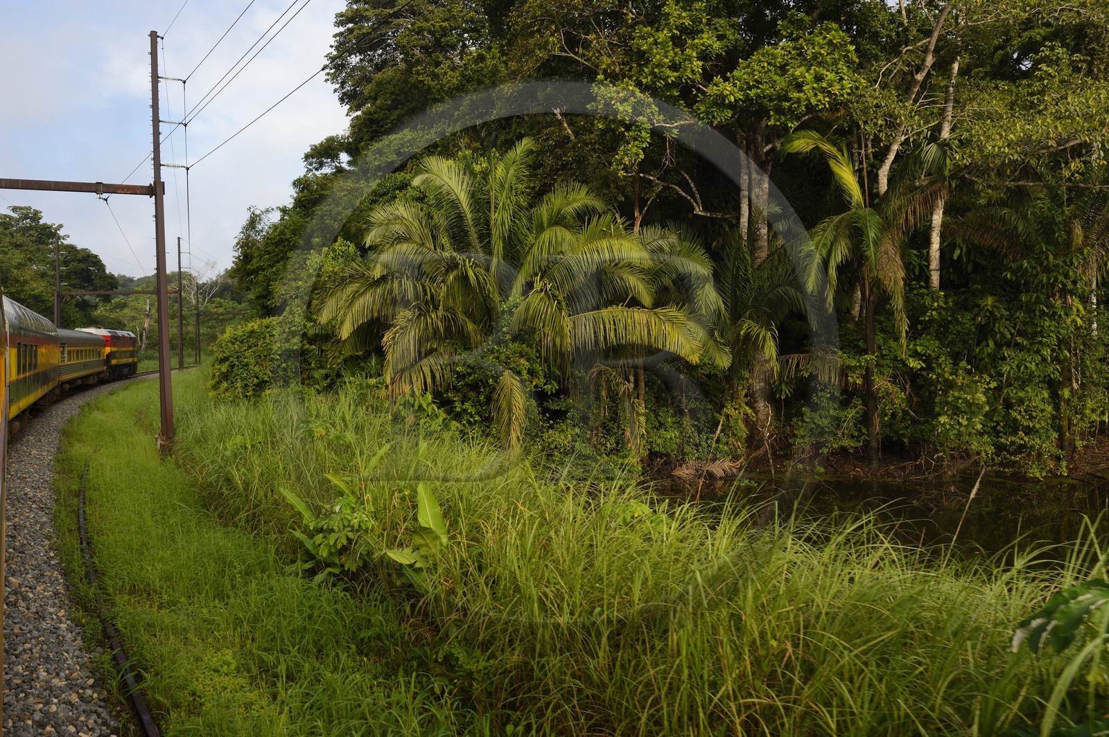 Panama, Panama Canal Railway, Historic Train which runs between Panama City & Colon along the Panama Canal and passing through the Isthmus