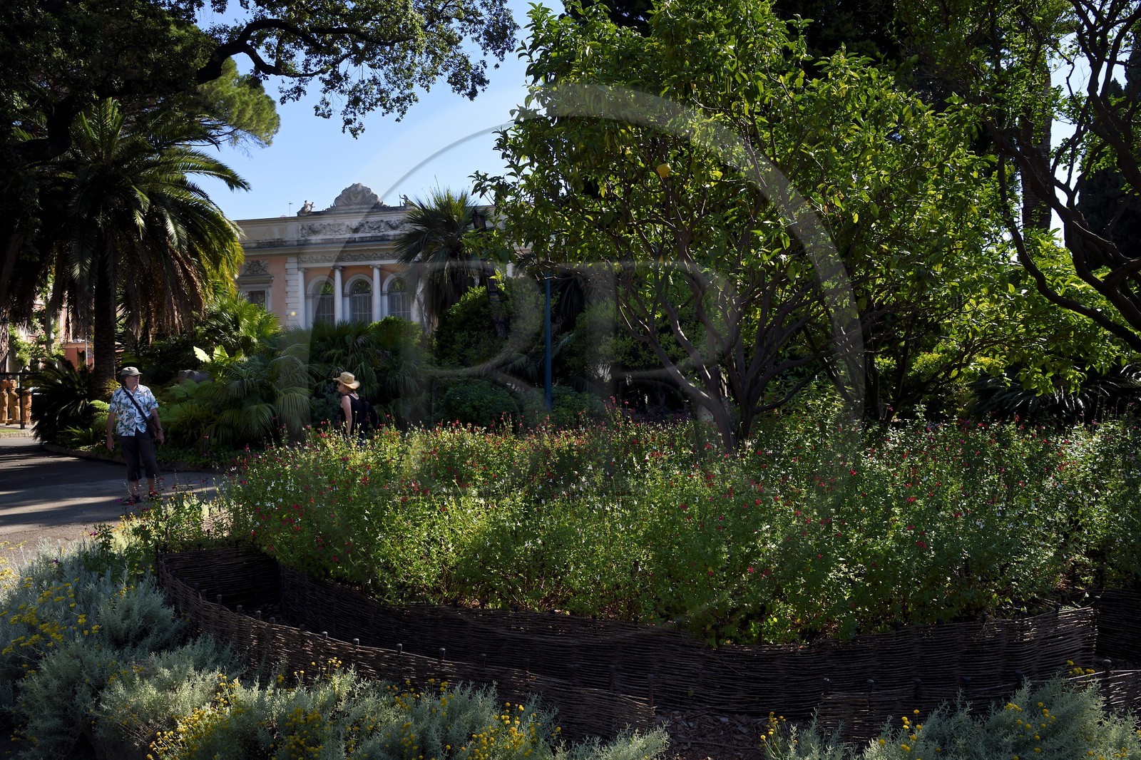 France, Alpes-Maritimes (06), Menton, Jardin du Palais de Carnolès, son parc botanique abrite la plus importante collection d’agrumes d’Europe