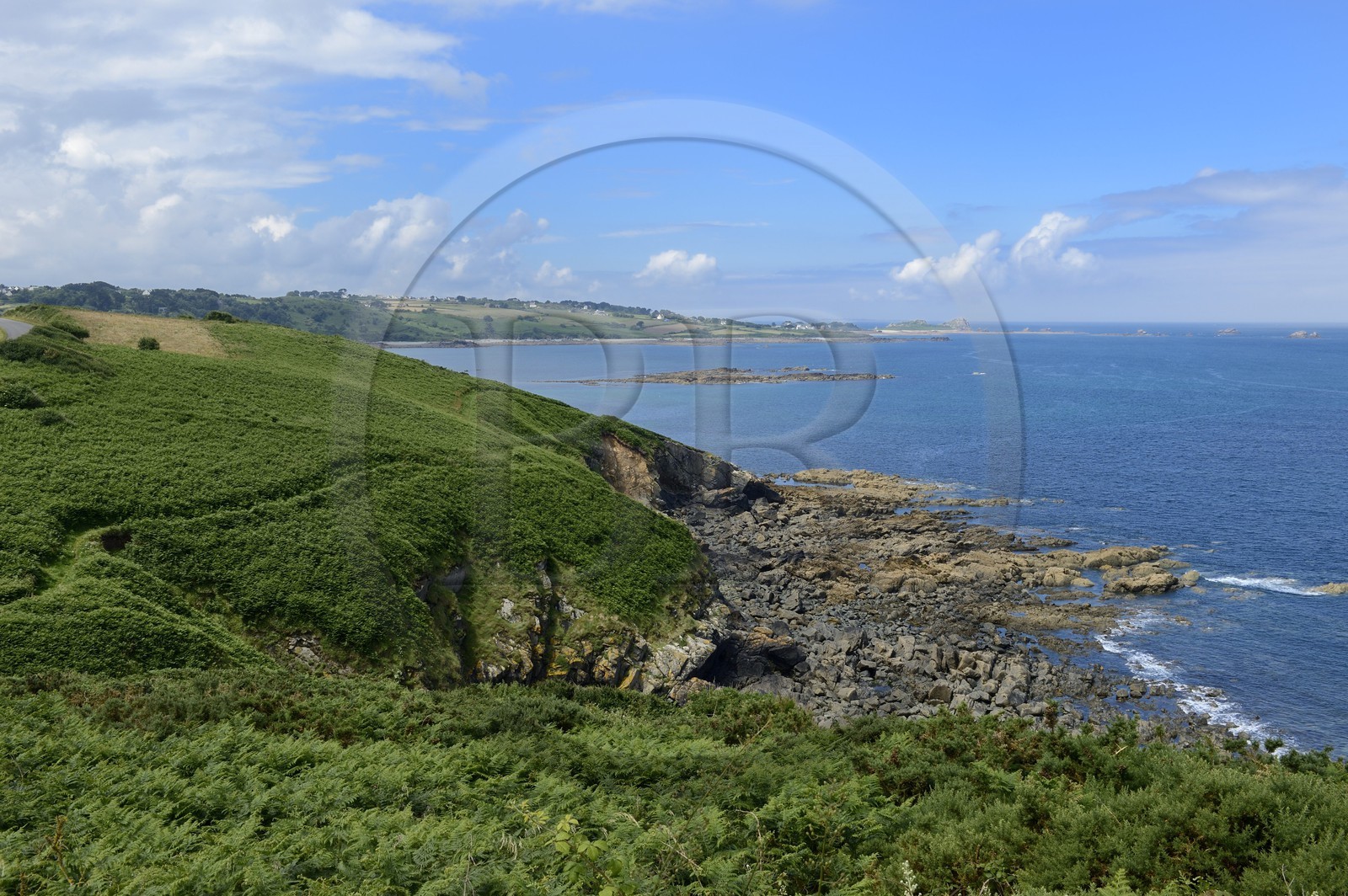 France, Finistère (29), Saint Jean du Doigt, sentier du GR 34