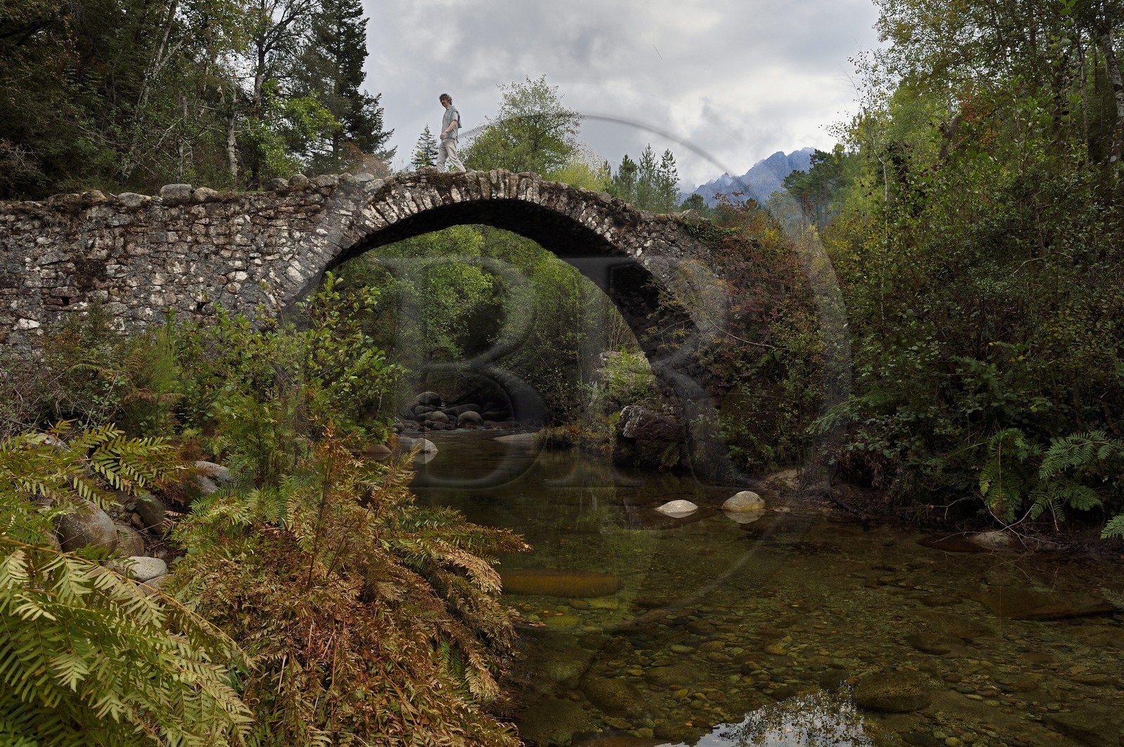 France, Corse du Sud, Prunelli river valley, Bastelica, Zippitoli genoese bridge