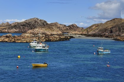 United Kingdom, Scotland, Highland, Inner Hebrides, the Ross of Mull in the extreme southwest of the Isle of Mull, Fionnphort facing the Iona Island