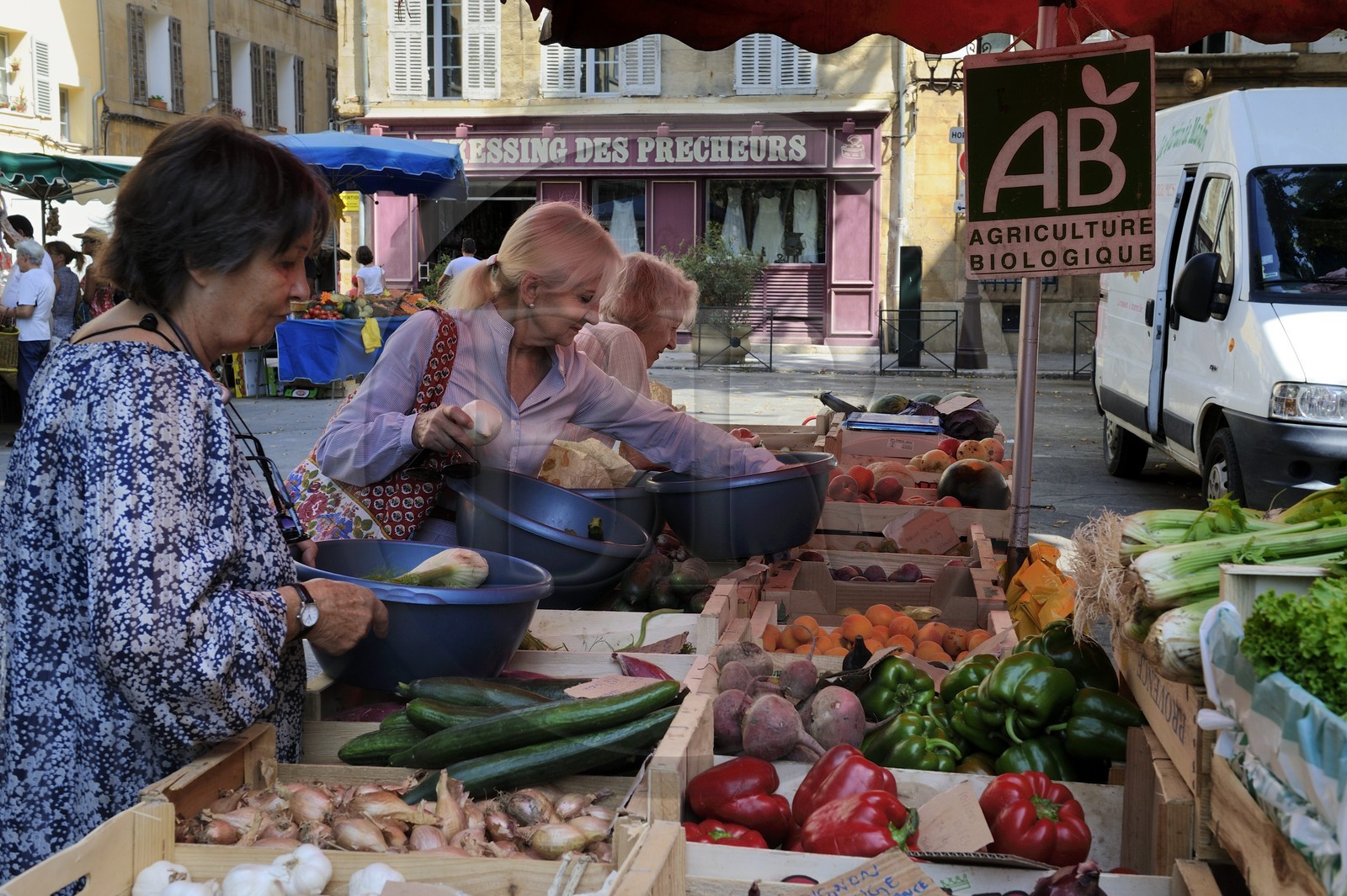 France, Bouches-du-Rhone, Aix-en-Provence, market on Place de l'Hotel de Ville, organic fruit and vegetable stall