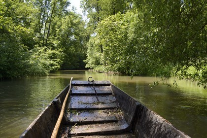 France, Bas-Rhin (67), région d'Ebersmunster et Muttersholtz, le Grand Ried, barque à fond plat sur la rivière l'Ill
