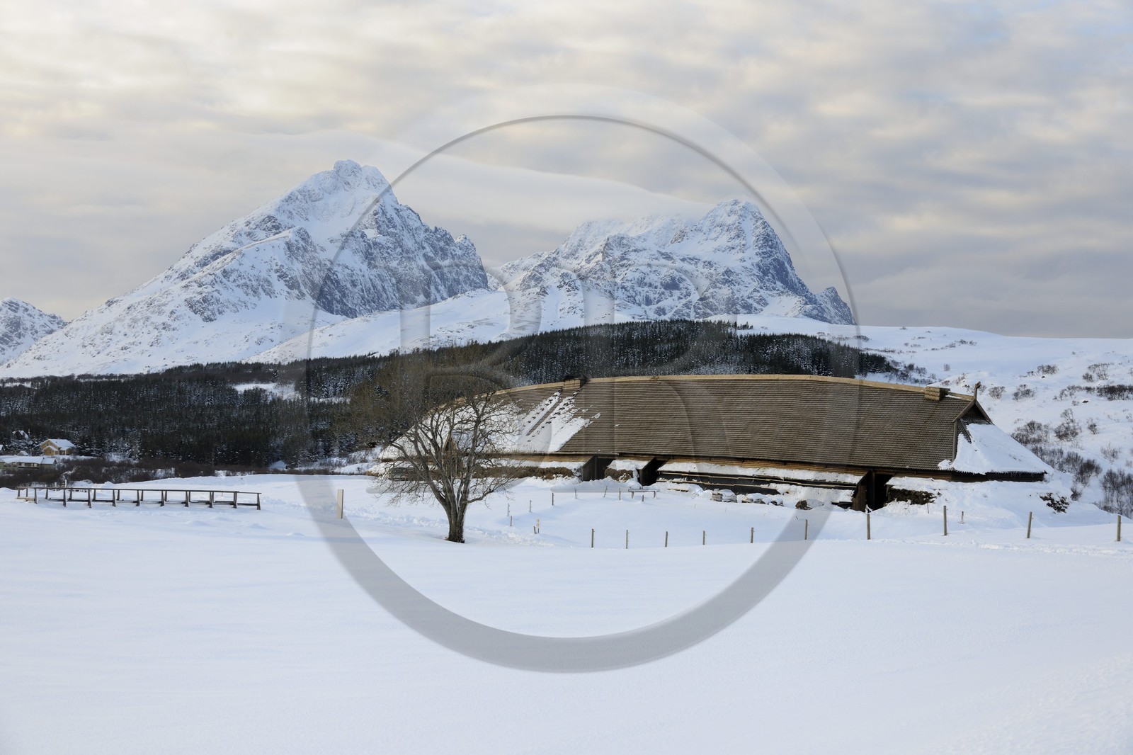 Norvège, Nordland, Îles Lofoten, musée viking de Borg sur l'ile de Vestvagoy en hiver, reconstruction d'une maison ancienne longue de 83 m
