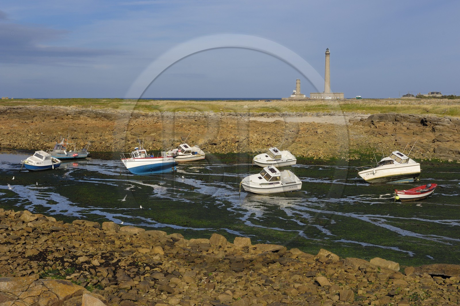 France, Manche (50), Val de Saire, Pointe de Barfleur, le phare