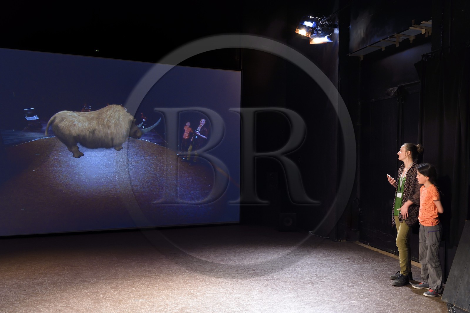 France, Dordogne, Perigord Noir, Vezere valley, Thonac, Le Thot, Cro Magnon space, the temporal mirror, animation of augmented reality where visitors come face to extinct animals such as a woolly rhinoceros