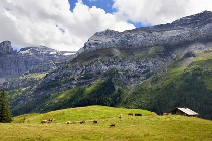 Suisse, Canton de Vaud, Ormont-Dessus, Les Diablerets, ferme vers le lac Retaud au dessus du Col du Pillon et la montagne de Schluchhorn en arrière plan