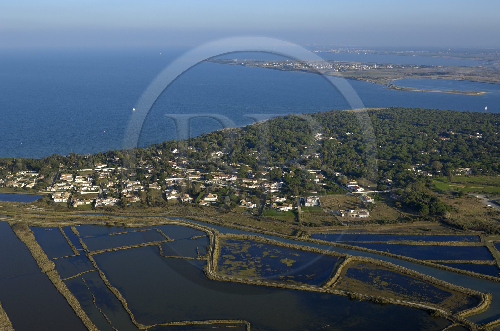 France, Charente-Maritime (17), ile de Ré, les Portes-en-Ré, marais du Fier d'Ars et bois de Trousse-Chemise (vue aérienne)