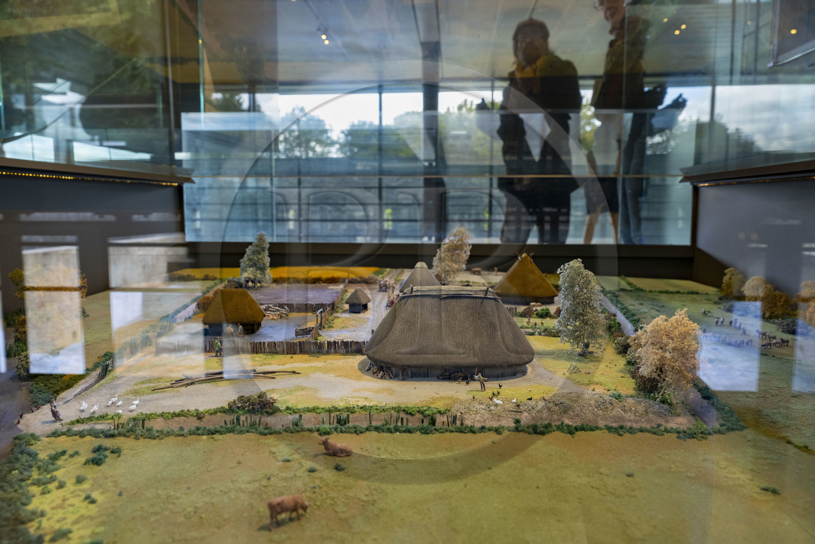 France, Saone et Loire, regional natural park of Morvan, Saint Leger sous Beuvray, oppidum of Bibracte, capital of the Celtic people of the Aedui, archaeological site on Mount Beuvray, the Celtic Civilization Museum on Mount Beuvray, model of a Gallic farm from the 2nd century BC